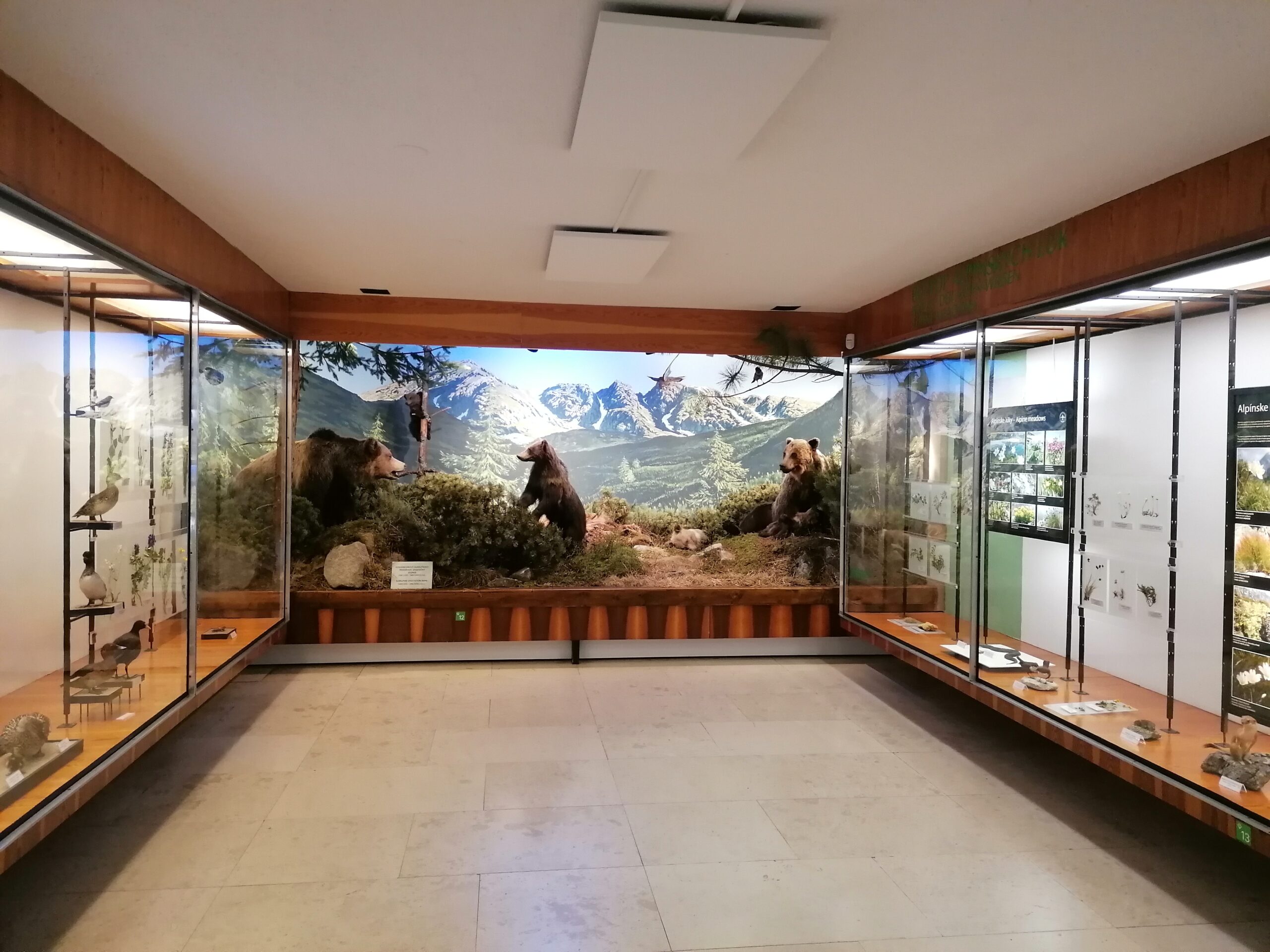 bear enclosure as an exhibit in the museum